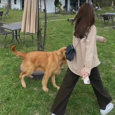 可怕的孩子们